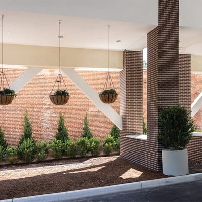 A view of the outdoor space with hanging plants.
