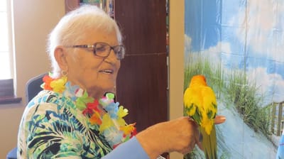Resident interacting with a bird in a colorful setting