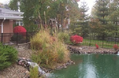 Serene outdoor space with landscaped garden and water feature