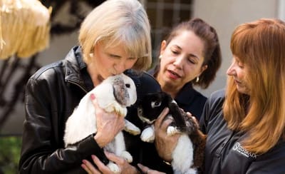 Residents interacting with pet rabbits in a joyful moment