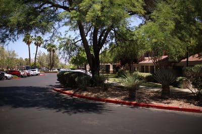 Entrance area with trees and parking at Atria Seville