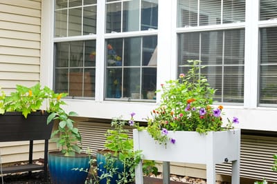 Flower planters outside a facility window