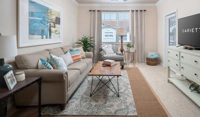 Bright interior living space with a comfortable sofa