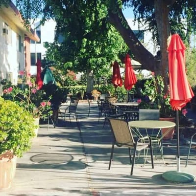 Outdoor seating area with umbrellas and flowers