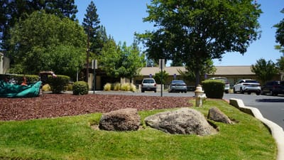 Outdoor area with landscaped rocks and trees