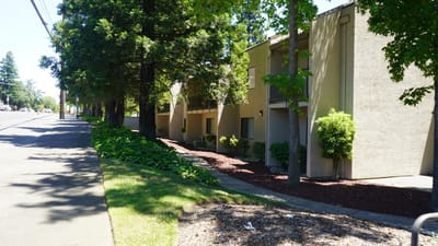 Exterior view of a senior living facility surrounded by greenery