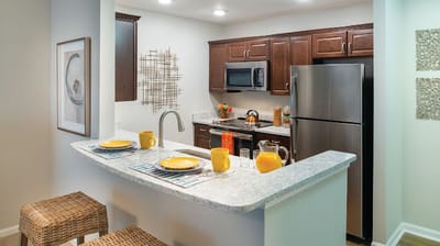 Modern kitchen design in an assisted living apartment