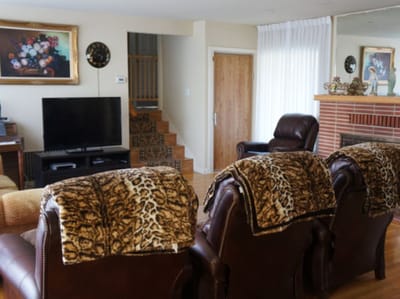 Cozy common area with comfortable seating and decor
