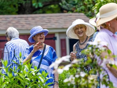 Residents enjoying time outdoors in a garden setting