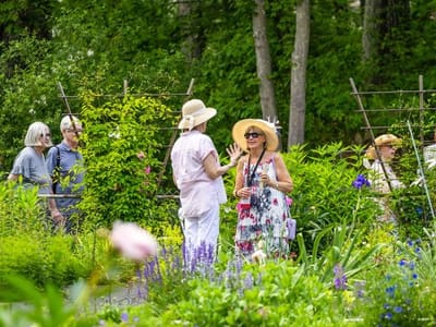 Residents enjoying a garden with flowers and greenery