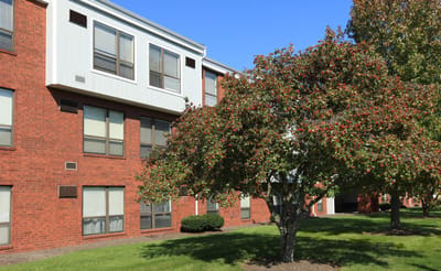 Exterior view of a senior living facility with a tree