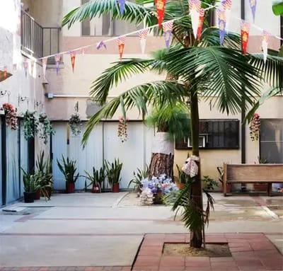 An outdoor area with palm trees and colorful decorations
