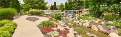 Beautiful garden pathway with a water feature