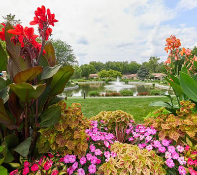 Beautiful outdoor garden with a pond and flowers