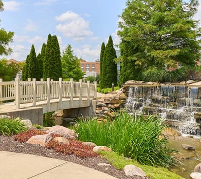 A serene outdoor space with a bridge and waterfall