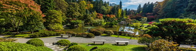 A serene garden with a pond and benches
