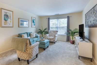 Cozy living room with comfortable seating and natural light