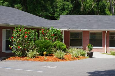 Landscaped outdoor space with vibrant flowers and plants