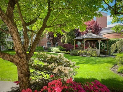 Beautiful garden with gazebo and blooming flowers