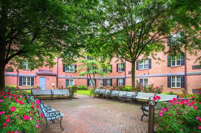 Beautiful outdoor garden area with benches and flowers