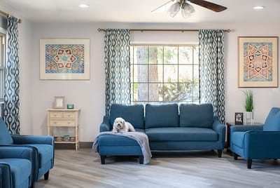 Comfortable common area with a dog resting on a couch.