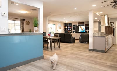 Spacious common area with seating and a resident dog.