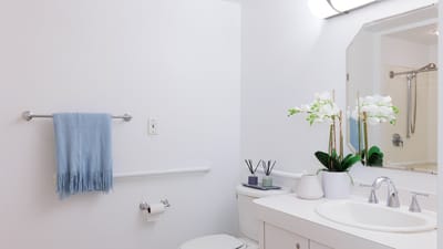Bright bathroom with modern fixtures and plants