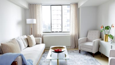 Bright living room with modern furniture