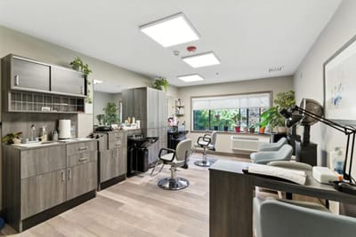 Beauty salon area with chairs and plants
