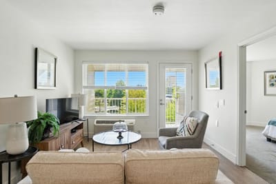 Cozy living room with natural light and modern decor
