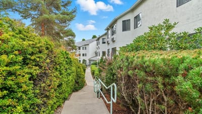 Pathway through greenery leading to buildings