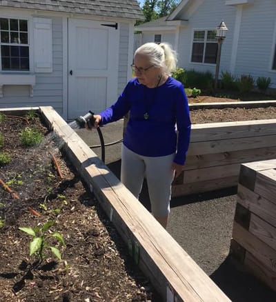Resident watering plants in raised garden beds