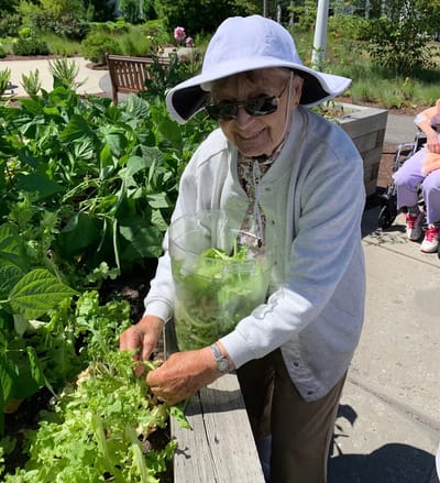 Resident gardening in the outdoor area