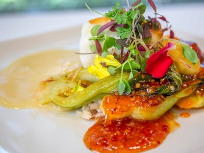Plated gourmet meal with vegetables and garnishes