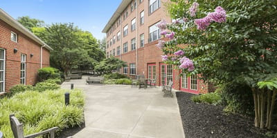 Outdoor courtyard with benches and flowers