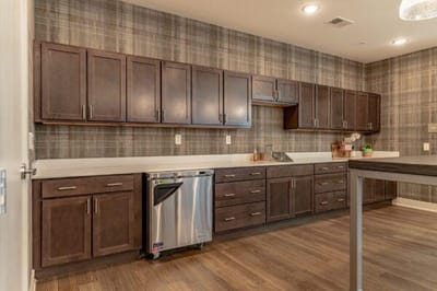 Modern kitchen area with dark cabinets and a plaid wall.
