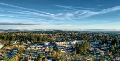 Aerial view of landscaped community with trees and mountains