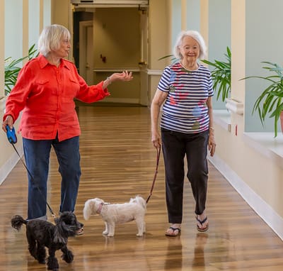 Residents walking dogs in a bright hallway