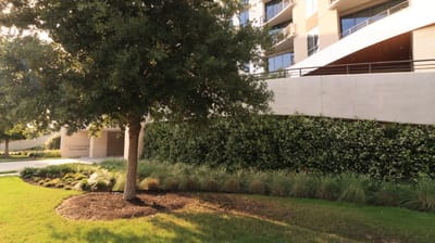 Outdoor view of landscape with greenery and trees