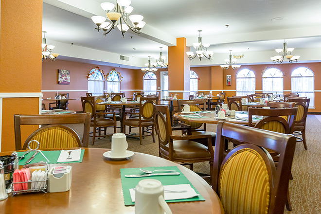 Bright dining room set for a meal service