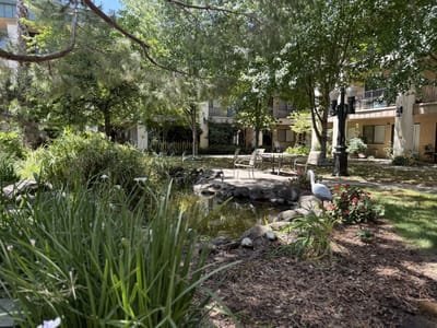 A serene garden area with a pond and seating