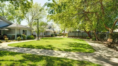 Outdoor space with walking paths and grassy areas