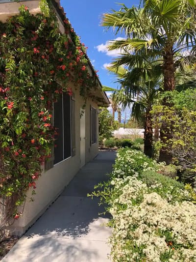 Pathway lined with flowers and palm trees