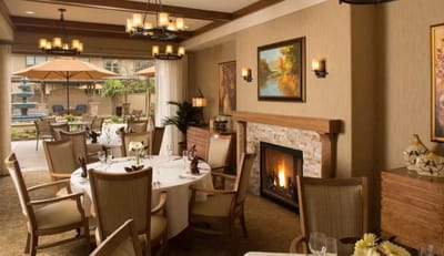Elegant dining room with a fireplace and outdoor view