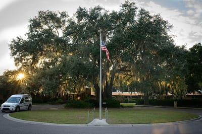 An outdoor view of a facility with a large tree and flag