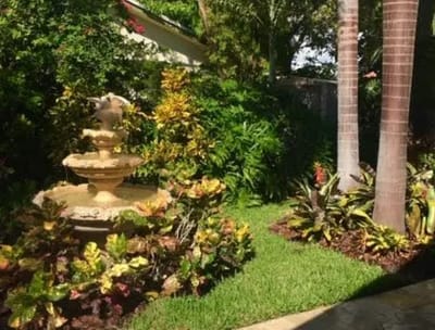 Lush garden area with a fountain and tropical plants