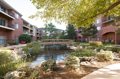 Lush outdoor space with a pond and bridge
