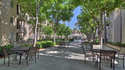 Outdoor seating area surrounded by greenery