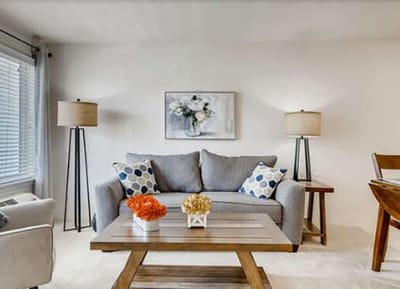 Cozy living room setting with couch and decor