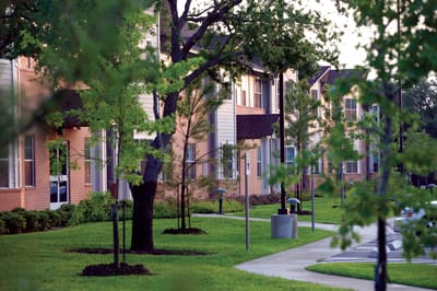 Well-maintained outdoor space with landscaping and trees